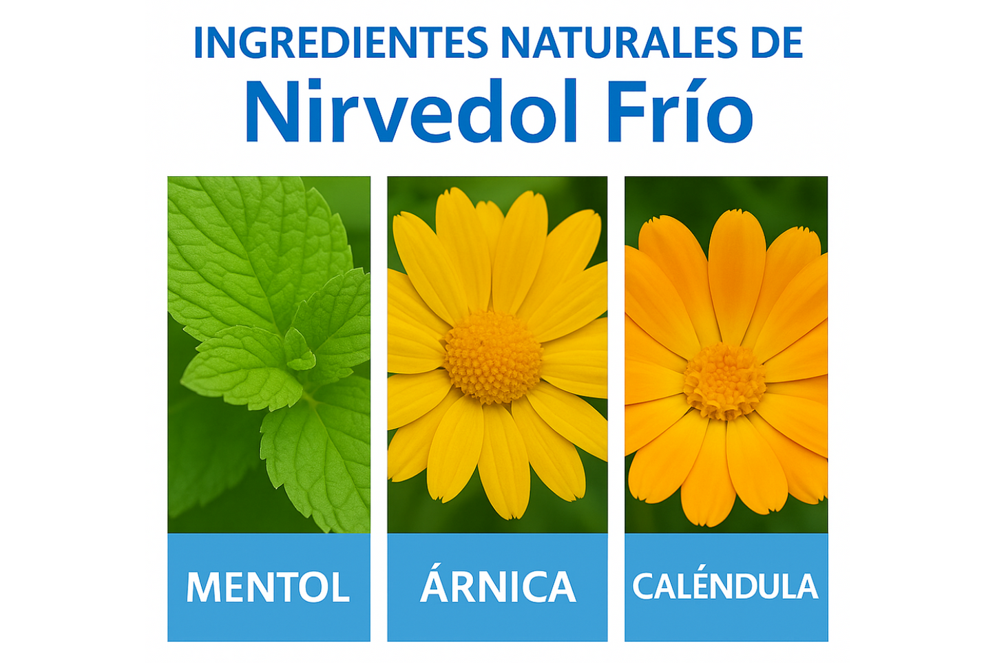 Crema Nirvedol Frío